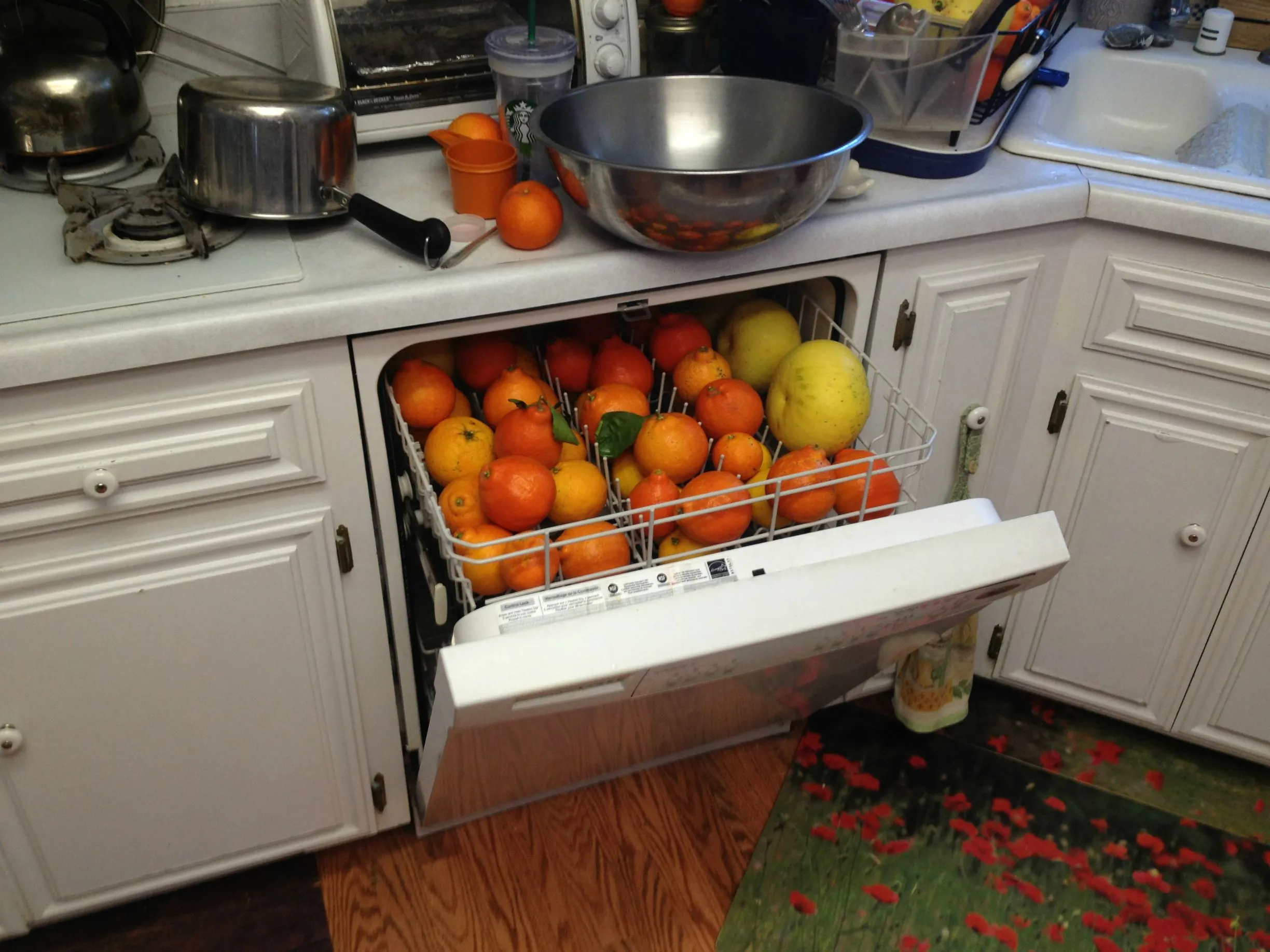 شستن میوه در ماشین ظرف شویی